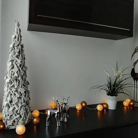 Apartament Wyspa, Mieszkanie 2 Pokojowe, Garaz W Cenie
