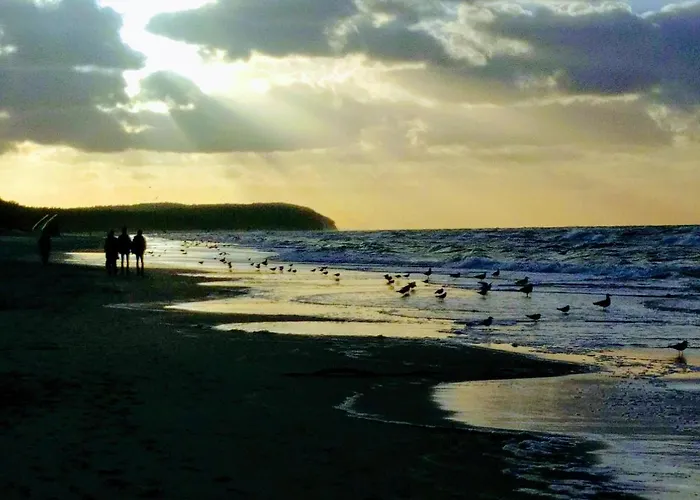 Wyspa, 2 Pokoje, Parking Gratis *