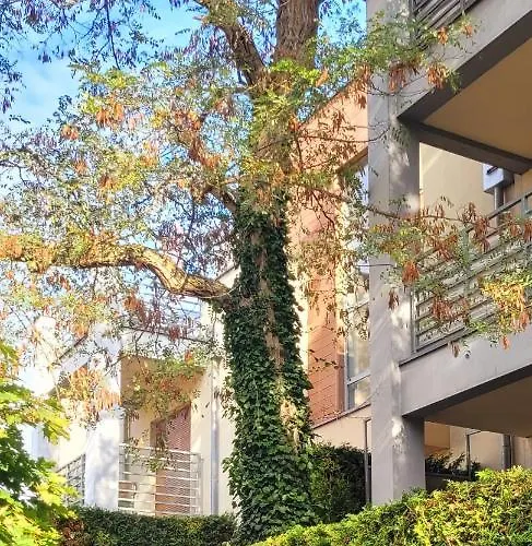 Wyspa, 2 Pokoje, Parking Gratis